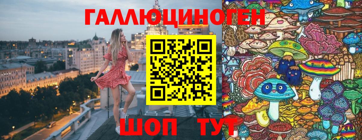 Гатчина  Галлюциногенные грибы GOLDEN TEACHER  купить наркотики цена  Галлюциногенные грибы Magic Shrooms  Вход с VPN 